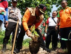 Reboisasi Hutan Kendeng Pati Hanya Capai 3.982 Hektare