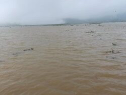 Ratusan Hektare Sawah di Kalibening Banjarnegara Terendam Banjir