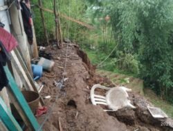 Tebing Setinggi 12 Meter Telah Longsor dan Membahayakan Rumah Warga di Pejawaran Banjarnegara