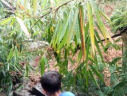 Hujan Deras Sejak Pagi, Tebing Setinggi 10 Meter di Pejawaran Banjarnegara Longsor