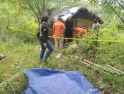 Tragedi Kematian Terjadi di Pondok Sawit Milik Warga Desa Temiang Taba