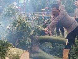 Adanya Aduan Masyarakat, Tim Rescue SatSamapta Polresta Pati Sigap Atasi Pohon Tumbang