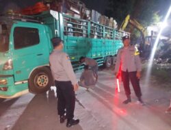 Truck Tronton Terperosok Personil Kepolisian Sektor Wonosalam Sigap Evakuasi dan Turlalin