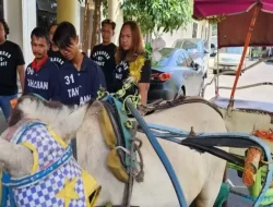 Polrestabes Semarang Tangkap Bapak dan Anak Pencuri Delman Beserta Kudanya