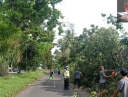 Cegah Laka Lantas, Polresta Bengkulu Melaksanakan Pengaturan Dilokasi Pohon Tumbang