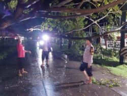 BNPB dan TNI Polri Evakuasi Pohon Tumbang Di Depan Mapolsek Bonang