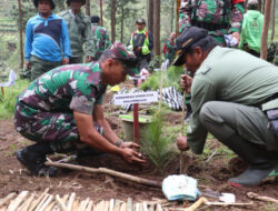 Gelar Patroli Hutan Gabungan, TNI dan Perhutani Lakukan Penghijauan dan Bakti Sosial