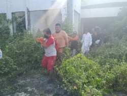 Mayat Tanpa Identitas di Gajahmungkur Semarang, Kondisinya Sudah Membusuk