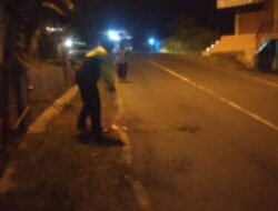 Motor vs Motor Adu Banteng di Jeruklegi Cilacap, Tiga Orang Terluka