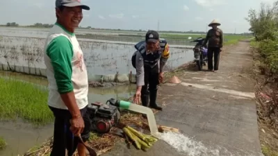 Musim Tanam Padi Bhabinkamtibmas Polsek Bonang Desa Weding Membantu Warga Binaan Mengalirkan Air