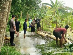 Personil Polisi Polsek Wonosalam Laksanakan Penebalan Tanggul Sungai Tuntang Di Desa Kalianyar