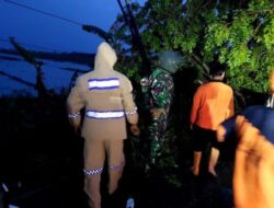 Polsek Bonang ,Koramil Bersama BPBD Evakuasi Pohon Tumbang Akibat Hujan Deras Di Sertai Angin Kencang