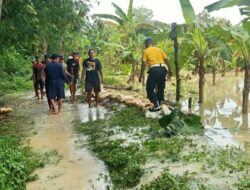 Polsek Wonosalam Lakukan Kegiatan Penebalan Tanggul Sungai Tuntang di Desa Kalianyar