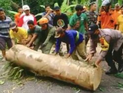 Respon Cepat Polsek Cilongok Polresta Banyumas Evakuasi Pohon Tumbang