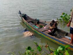 Sosok Mayat Mengapung di Aliran Sungai Silugonggo, Kepolisian Sektor Pati Mengevakuasi Dibantu Warga