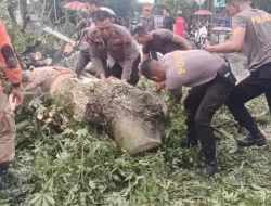 Respon Cepat Aduan, Tim Rescue Sat Samapta Polresta Pati Tangani Pohon Tumbang