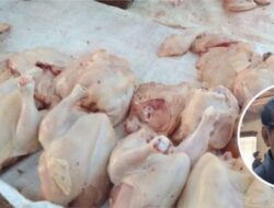 Dispertan Pastikan Stok Daging Terjamin di Kabupaten Pati
