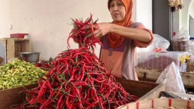 Harga Cabai Merah di Semarang Merosot, Kisaran Rp 20.000 per Kg