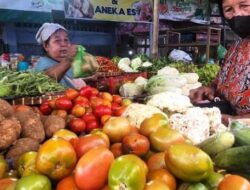 Harga Tomat di Semarang Melambung Tinggi, Pedagang: Mahal Sekali