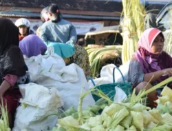 Pasar Sepi Pembeli, Pedagang Janur di Kabupaten Pati Merana Saat Lebaran Ketupat