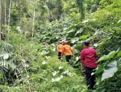 Pendaki Tersesat di Gunung Argopuro Rembang Akhirnya Ditemukan Selamat