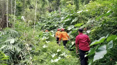 Pendaki Tersesat di Gunung Argopuro Rembang Akhirnya Ditemukan Selamat