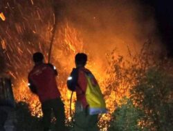 30 Hektare Hutan dan Lahan Dilalap Api di Kabupaten Humbahas