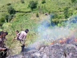 7 Hektar Lahan Terbakar Saat Cuaca Panas di Humbahas