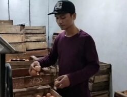 Pasokan Telor Terbatas di Pasar Batang: Agen Jelaskan Faktor Pemicu Kenaikan Harga