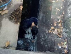 Pria Ditemukan Tewas di Selokan Puri Anjasmoro Semarang, Diduga Ditusuk