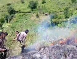 Cuaca Panas, 7 Hektar Lahan di Desa Sinambela Humbahas Terbakar
