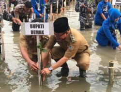 Danlanal Semarang dan Wakil Bupati Demak Tanam 10 Ribu Mangrove di Pesisir