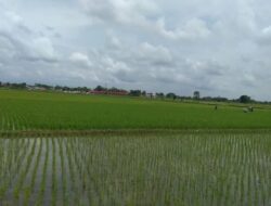 Dorong Sektor Pertanian, Sukoharjo Siapkan 2 Pembangunan Embung
