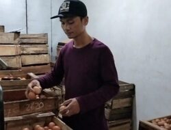Gara-gara Banyak Ayam Enggan Bertelur, Harga Telur di Batang Jadi Mahal