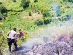 Karhutla di Humbahas Diperkirakan Mencapai 30 Hektare, Penyebab Kebakaran Diselidiki