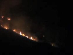 Kebakaran Hutan, Lahan Seluas 2,5 Hektare di Humbahas Hangus