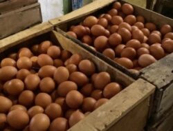 Pedagang Keluhkan Tingginya Harga Telur di Semarang, Tembus Rp 32 Ribu per Kilogram