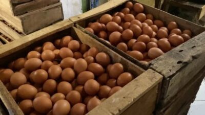 Pedagang Keluhkan Tingginya Harga Telur di Semarang, Tembus Rp 32 Ribu per Kilogram