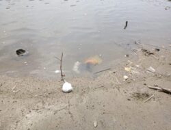 Potongan Tangan & Badan Ditemukan di Sungai Tanggul Tipes Sukoharjo, Warga Geger!