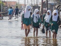 Pesisir Pantura Jateng Dilanda Banjir Rob, BMKG Jelaskan Sebabnya