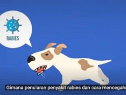Ancaman Penyakit Rabies, Warga Batang Ramai-ramai Vaksinasi Hewan Peliharaan