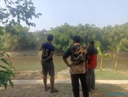 Sungai Bengawan Solo Tercemar Limbah Etanol, DLH Sukoharjo Temukan Pembuangnya