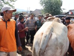 Jelang Idul Adha, Kapolres Rembang dan Dandim Mengecek Pasar Hewan