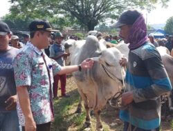 Jelang Idul Adha Pemkab Rembang Cek Kondisi Hewan Kurban di Pasaran, Begini Hasilnya