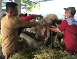 Menjelang Iduladha, Dinas Pertanian Sukoharjo Memberi Obat Cacing Hewan Kurban