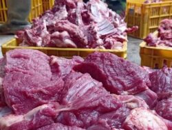 Menggunung Daging Kurban di Kampung Krajan Banjarnegara Capai 25 Ton