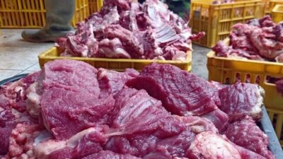 Menggunung Daging Kurban di Kampung Krajan Banjarnegara Capai 25 Ton