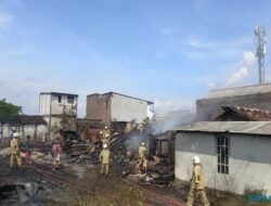 Musim Kemarau, BPBD Kota Semarang Catat Ada 7 Musibah Kebakaran di Bulan Ini