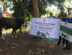 PLTU Batang sumbangkan 23 hewan kurban kepada warga desa terdampak