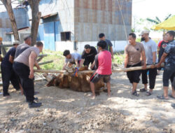 Polres Sukoharjo Salurkan Hewan Kurban: Ada 6 Sapi dan 17 Kambing